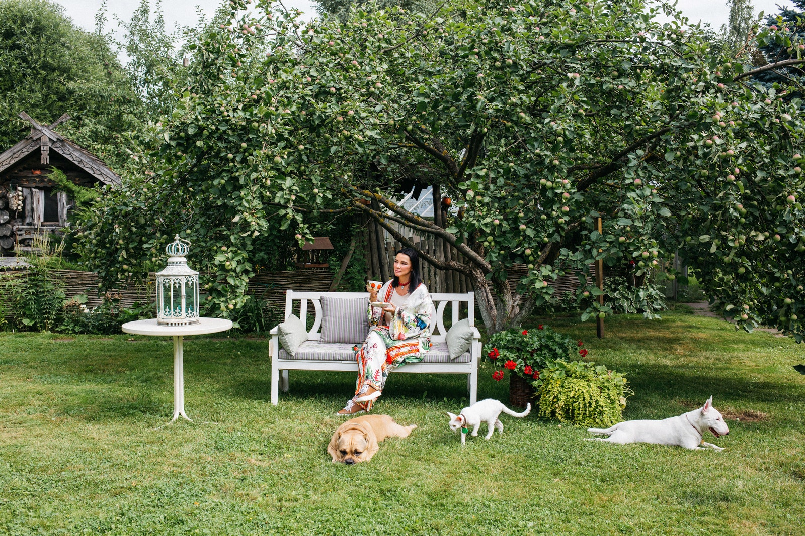 Екатерина Акхузина и ее домашние питомцы в саду американский булли Лева кот Василек породы девонрекс и буль­терьер Стич.