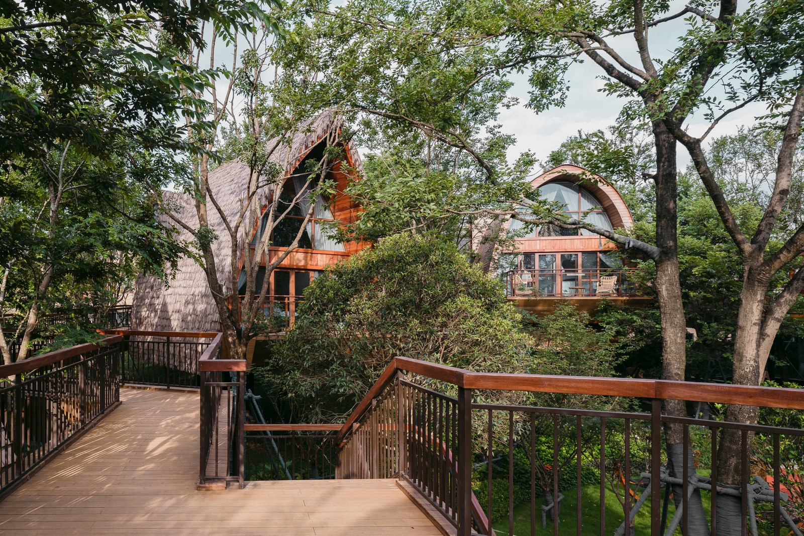 Китайский отель с домиками на деревьях