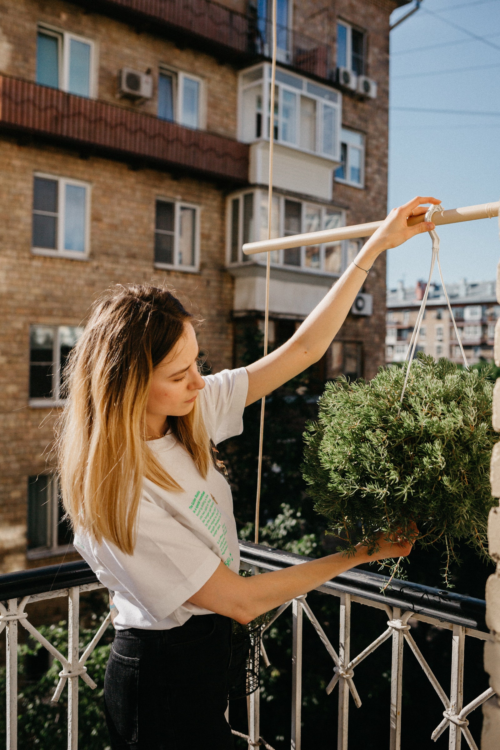 Как озеленить городской балкон советы и подробная инструкция