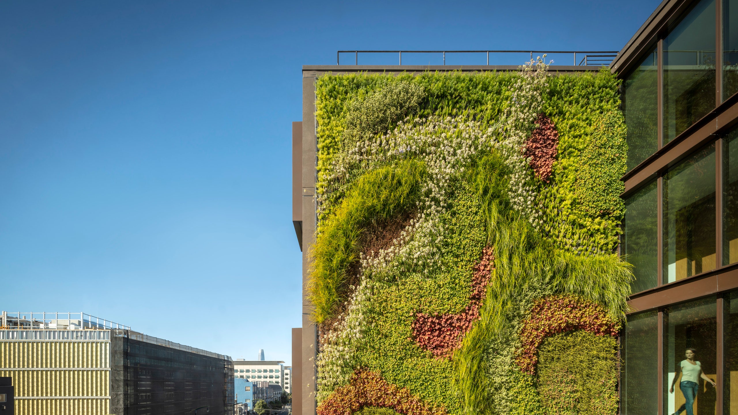 Жилой комплекс с зеленой стеной в СанФранциско