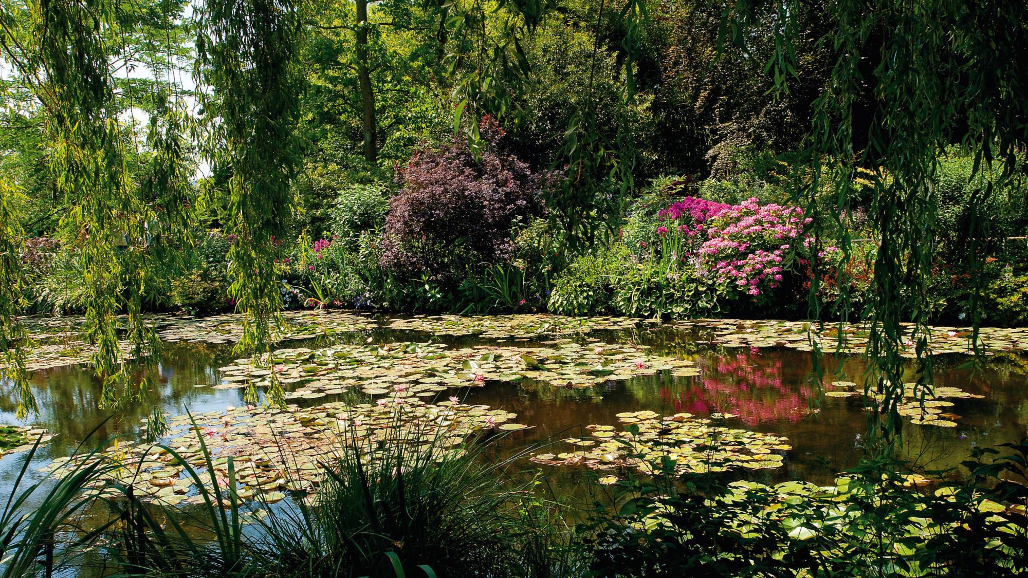 Вдохновение на неделю 7 цветущих садов и парков со всего мира
