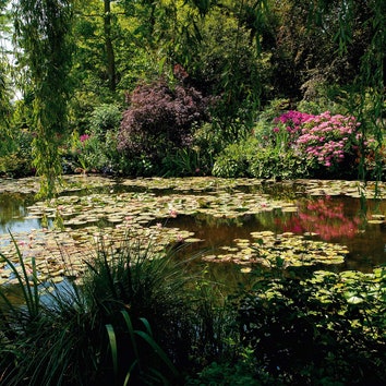 Вдохновение на неделю: 7 цветущих садов и парков со всего мира