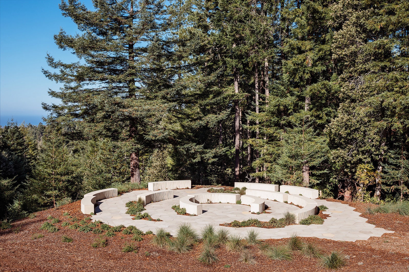 Центр для посетителей в мемориальном лесу в Калифорнии