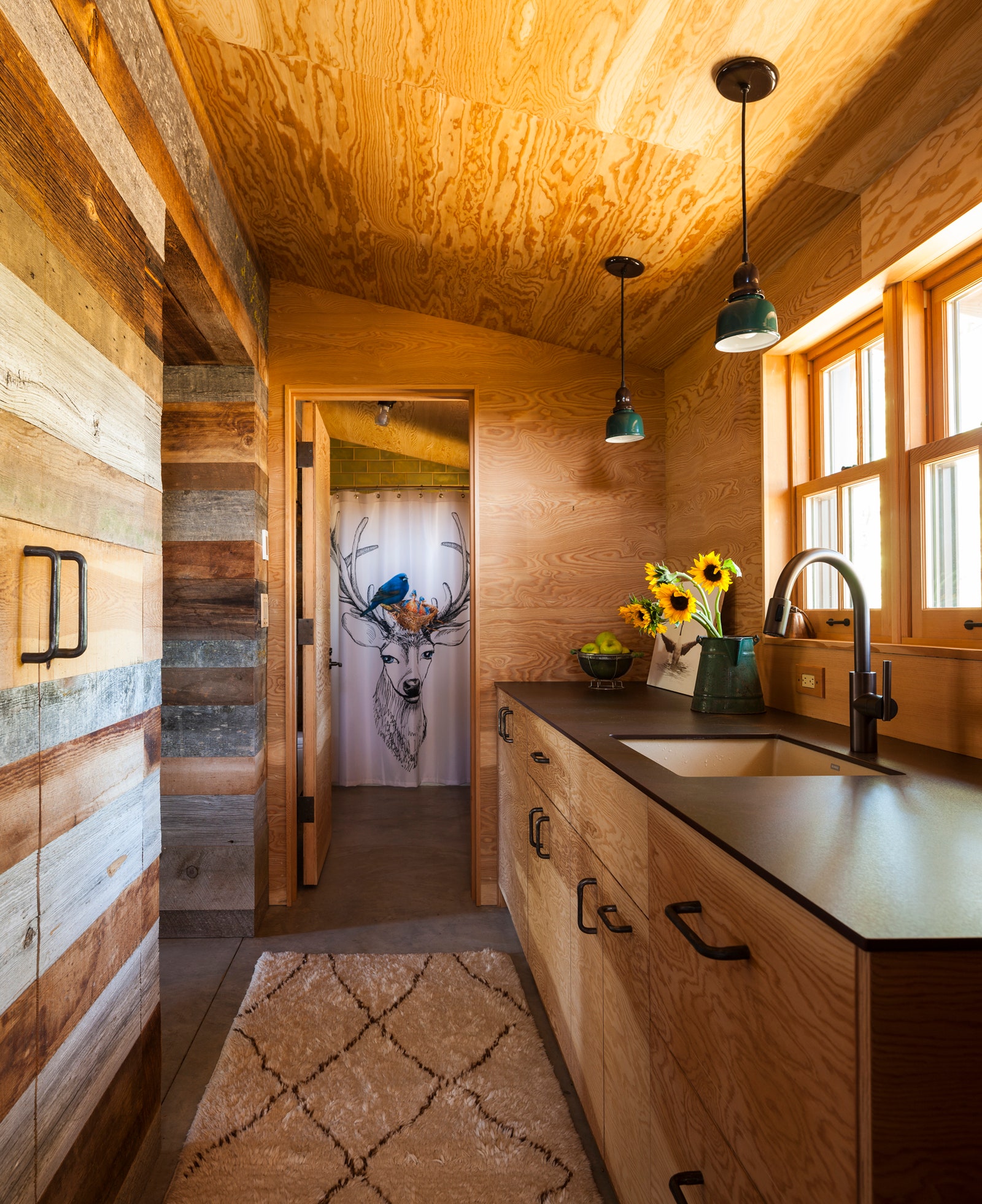 Дома с экологическим дизайном на холмах Восточного Вашингтона