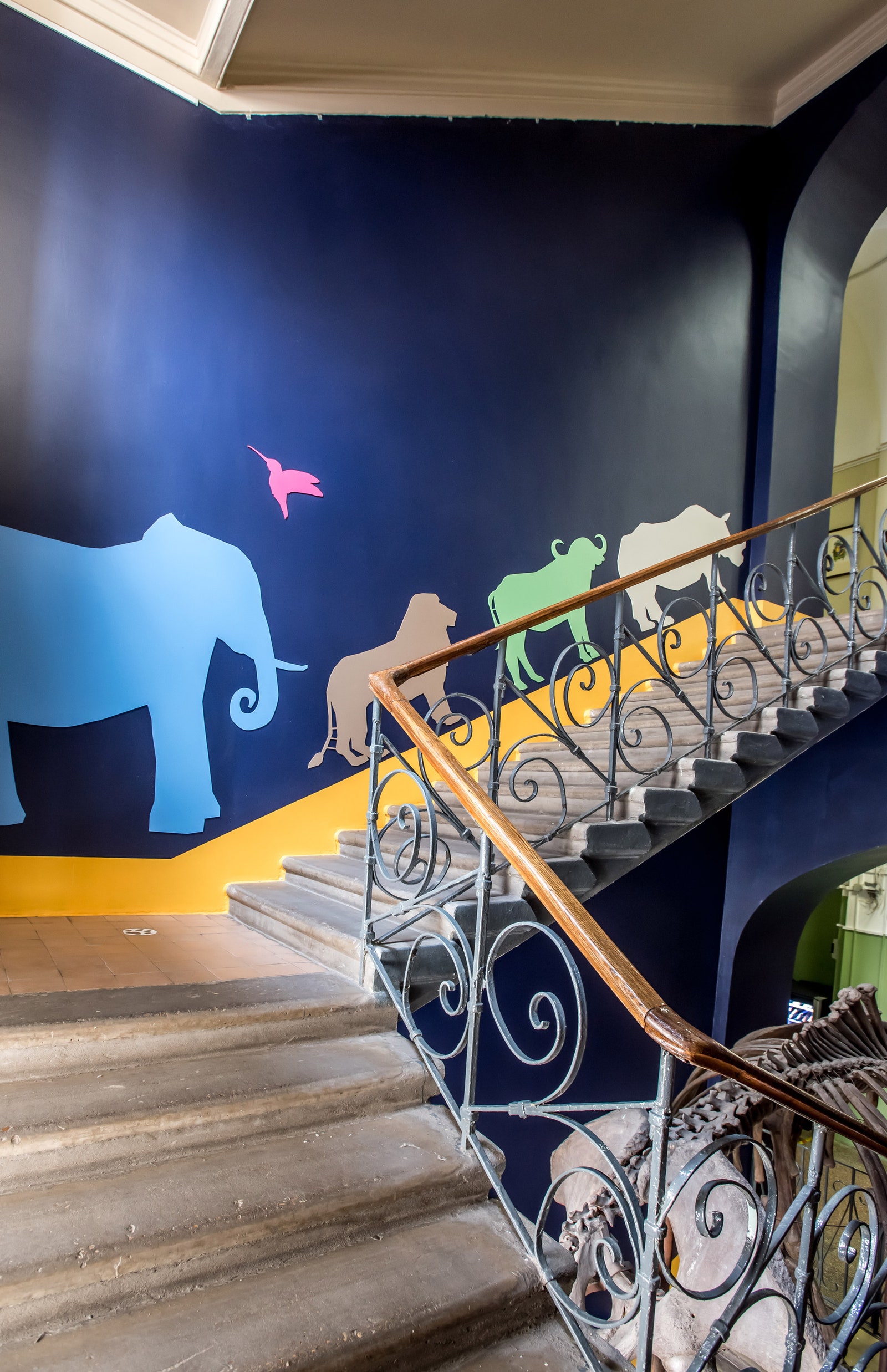 Лестница Зоологического музея МГУ вдохновленная сюитой СенСанса