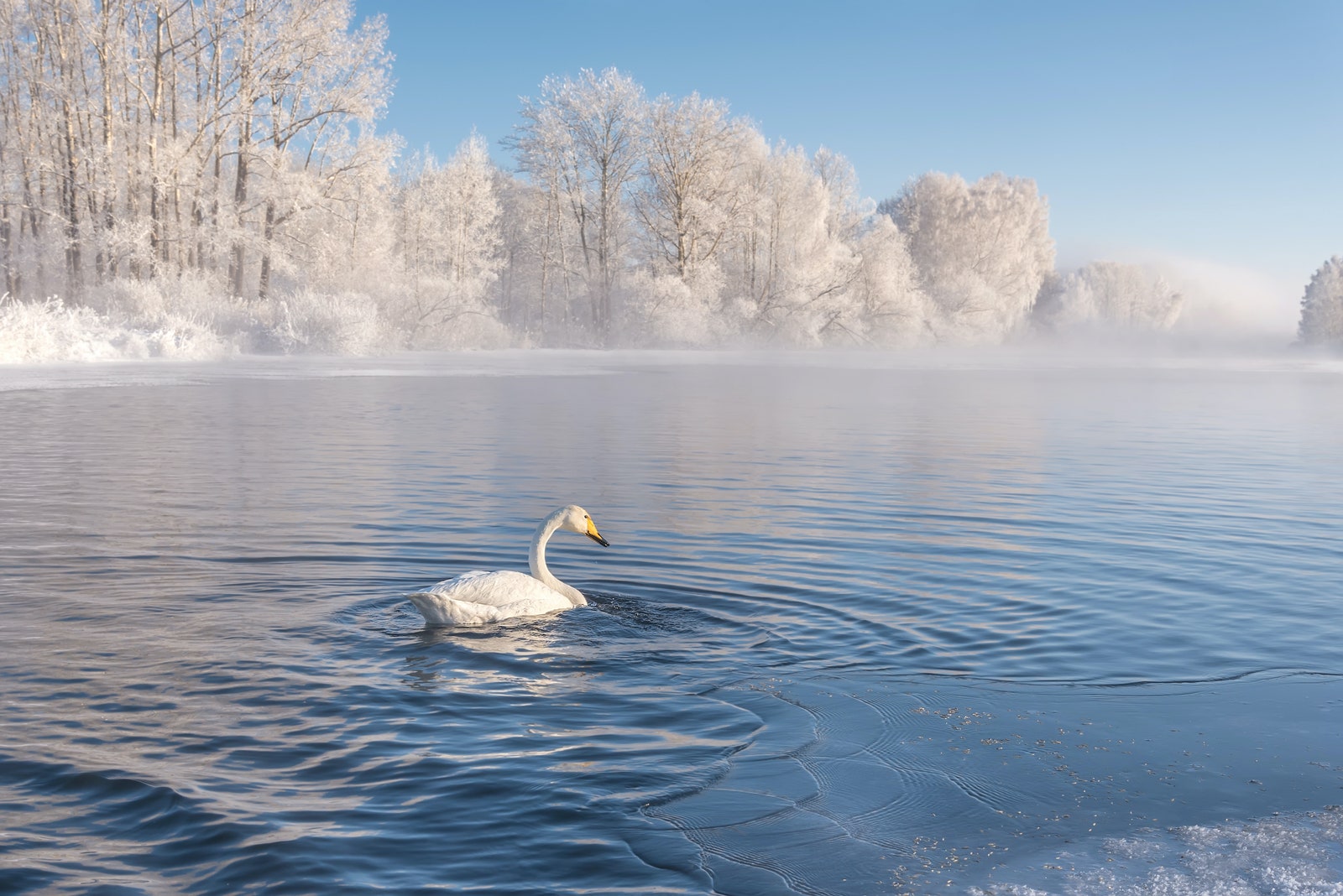 Куда поехать на Новый год в России 10 направлений для зимнего путешествия