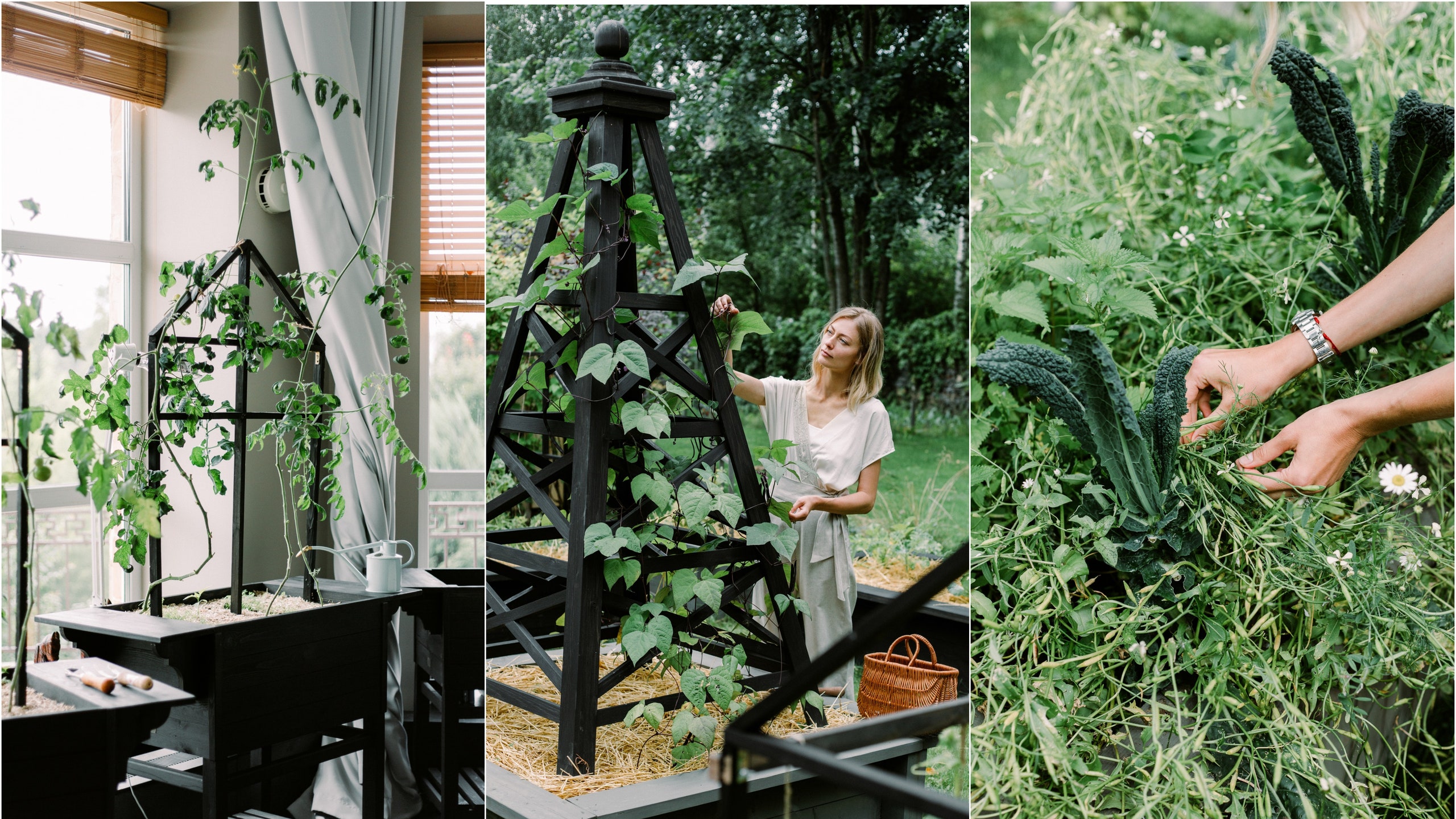 Как создать красивый и современный огород рассказывает ландшафтный дизайнер Елизавета Михалкова
