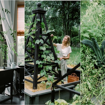 Как создать красивый и современный огород: рассказывает ландшафтный дизайнер Елизавета Михалкова