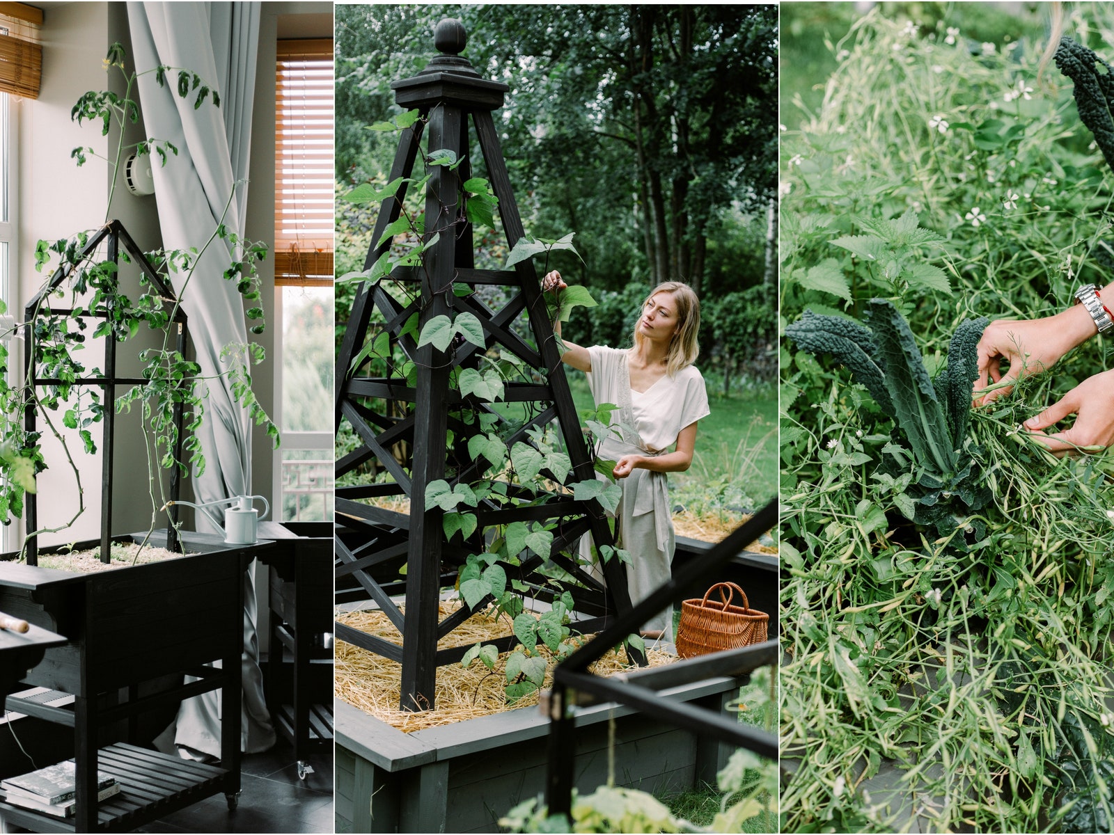 Как создать красивый и современный огород: рассказывает ландшафтный дизайнер Елизавета Михалкова