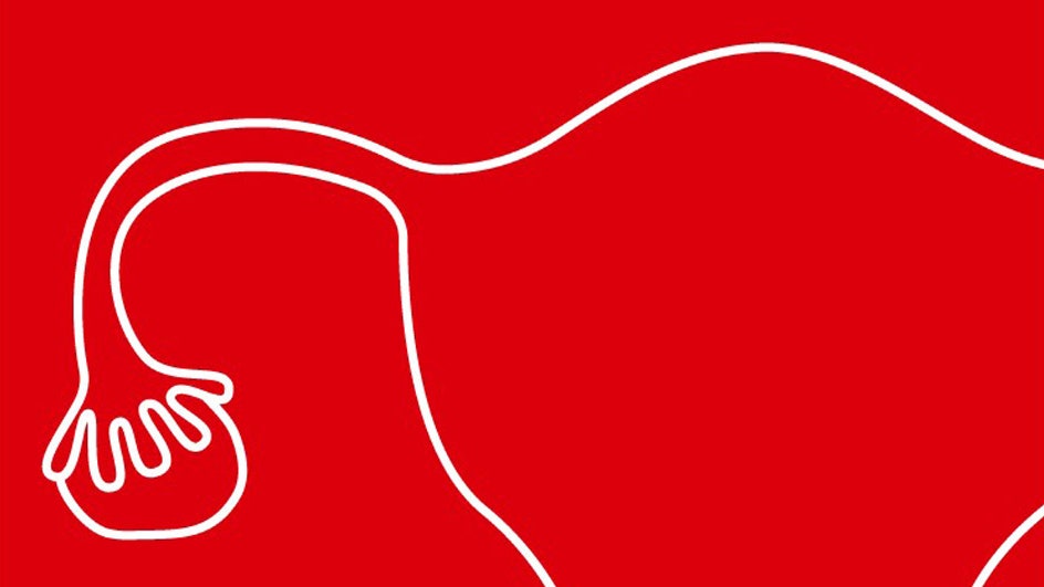 Pantone представил новый оттенок красного цвета под названием “Менструация”