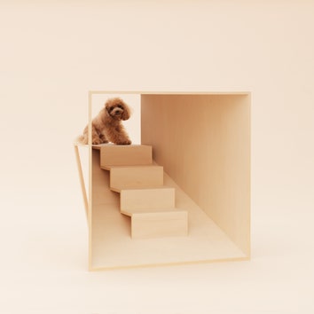 Архитектура для собак: выставка мебели для животных в Лондоне
