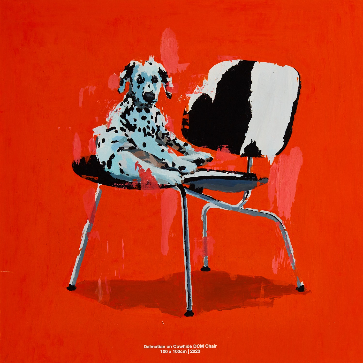 Dalmatian on Cowhide DCM Chair. 2020. 100 x 100 cm.