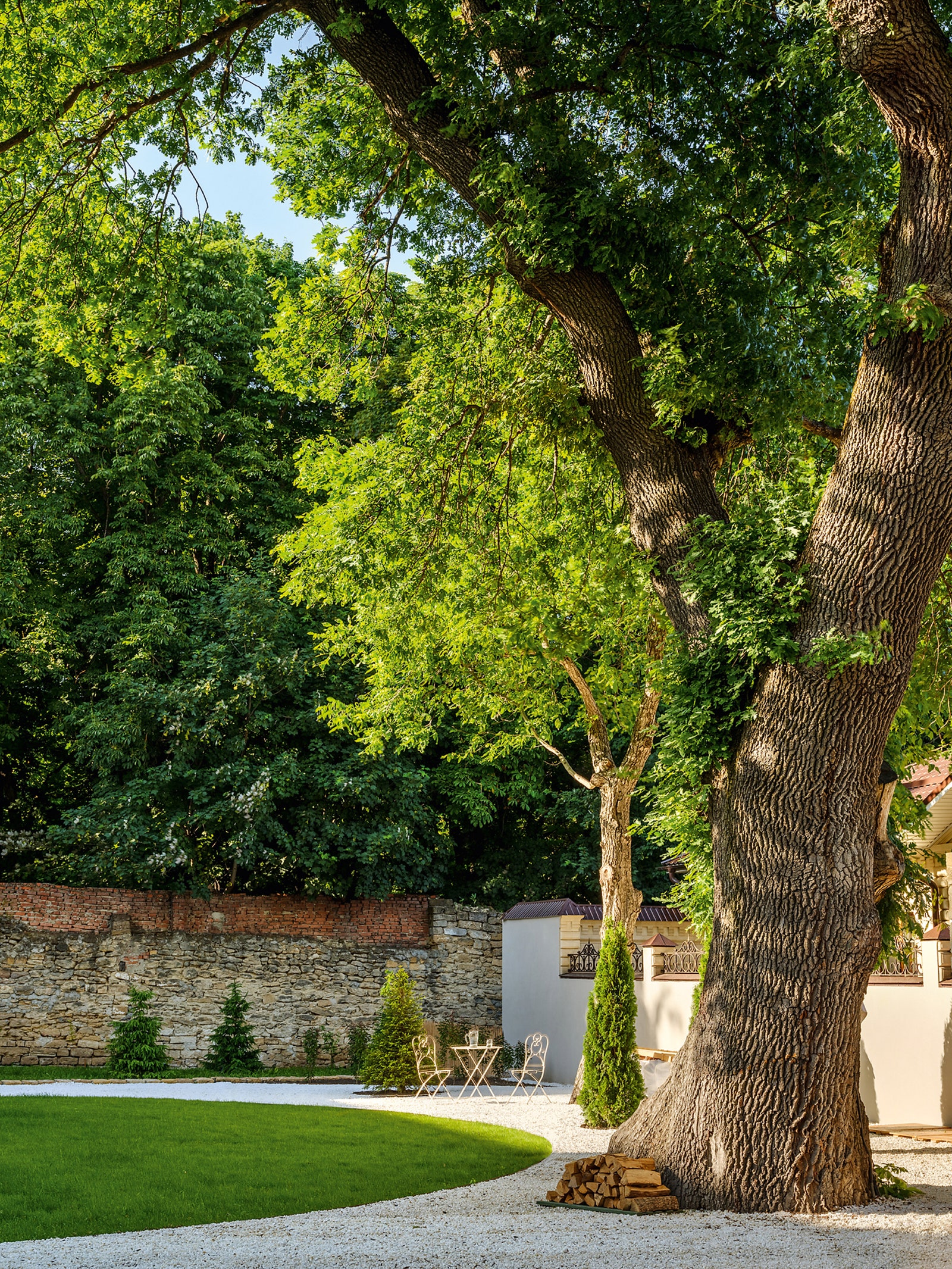 Фрагмент сада и трехсотлетний дуб черешчатый который охраняется государством.