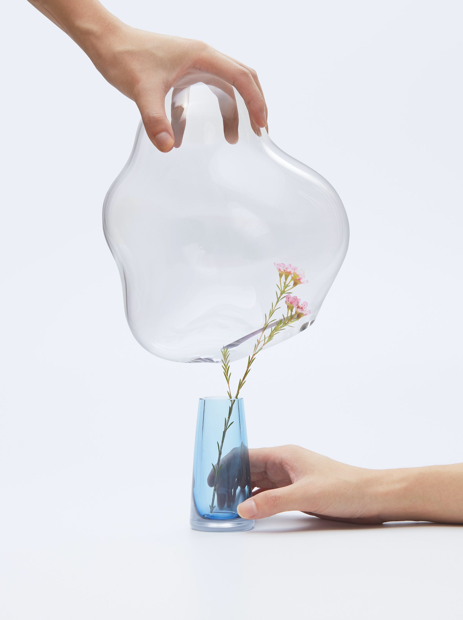“Цветы под колпаком” коллекция стеклянных сосудов от студии Yuhsien