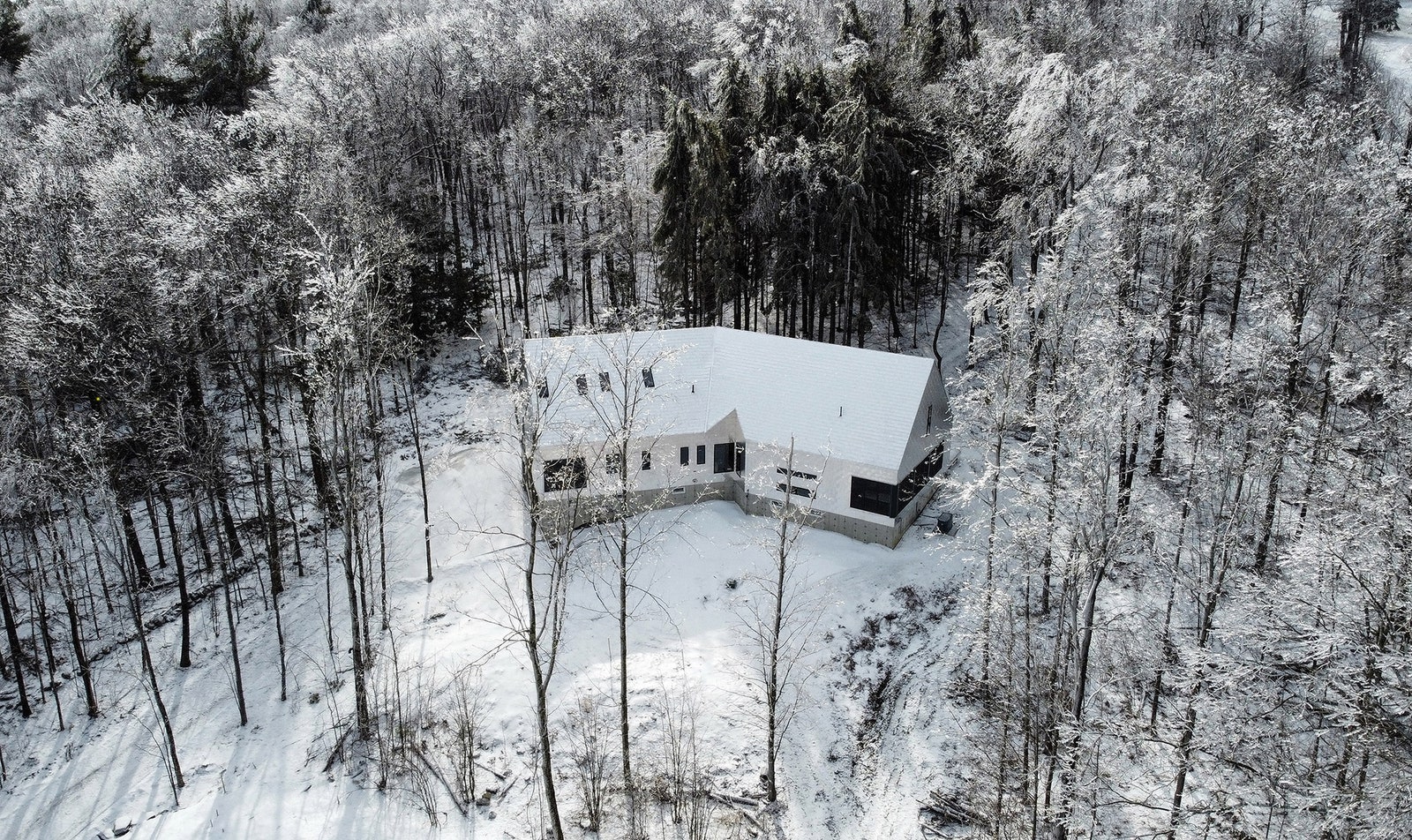 Дом с алюминиевым фасадом в массачусетском лесу