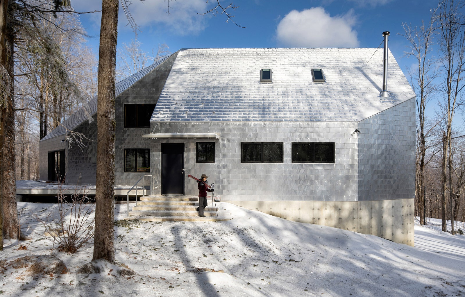 Дом с алюминиевым фасадом в массачусетском лесу