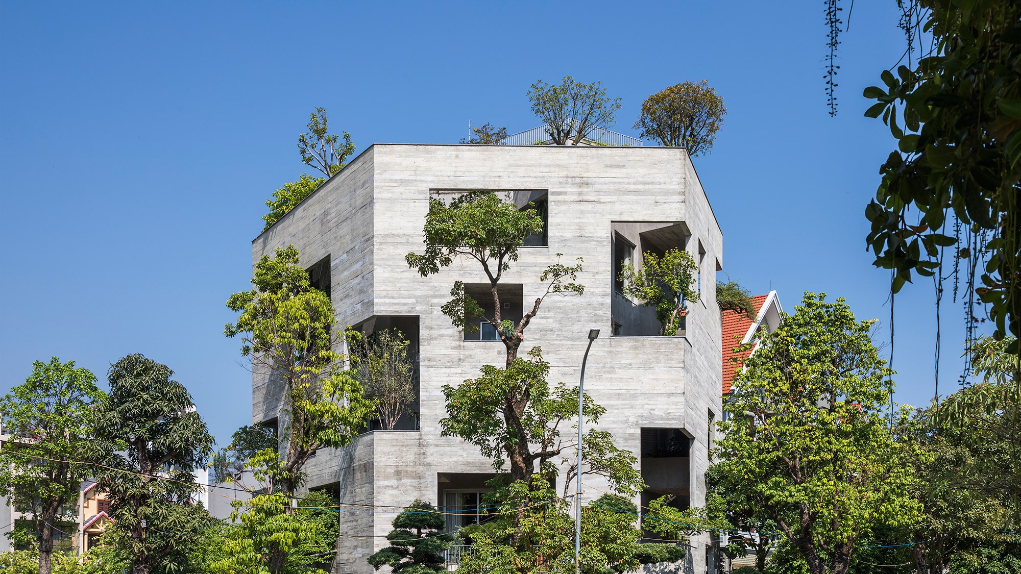 Бетонный дом с живыми деревьями на фасаде