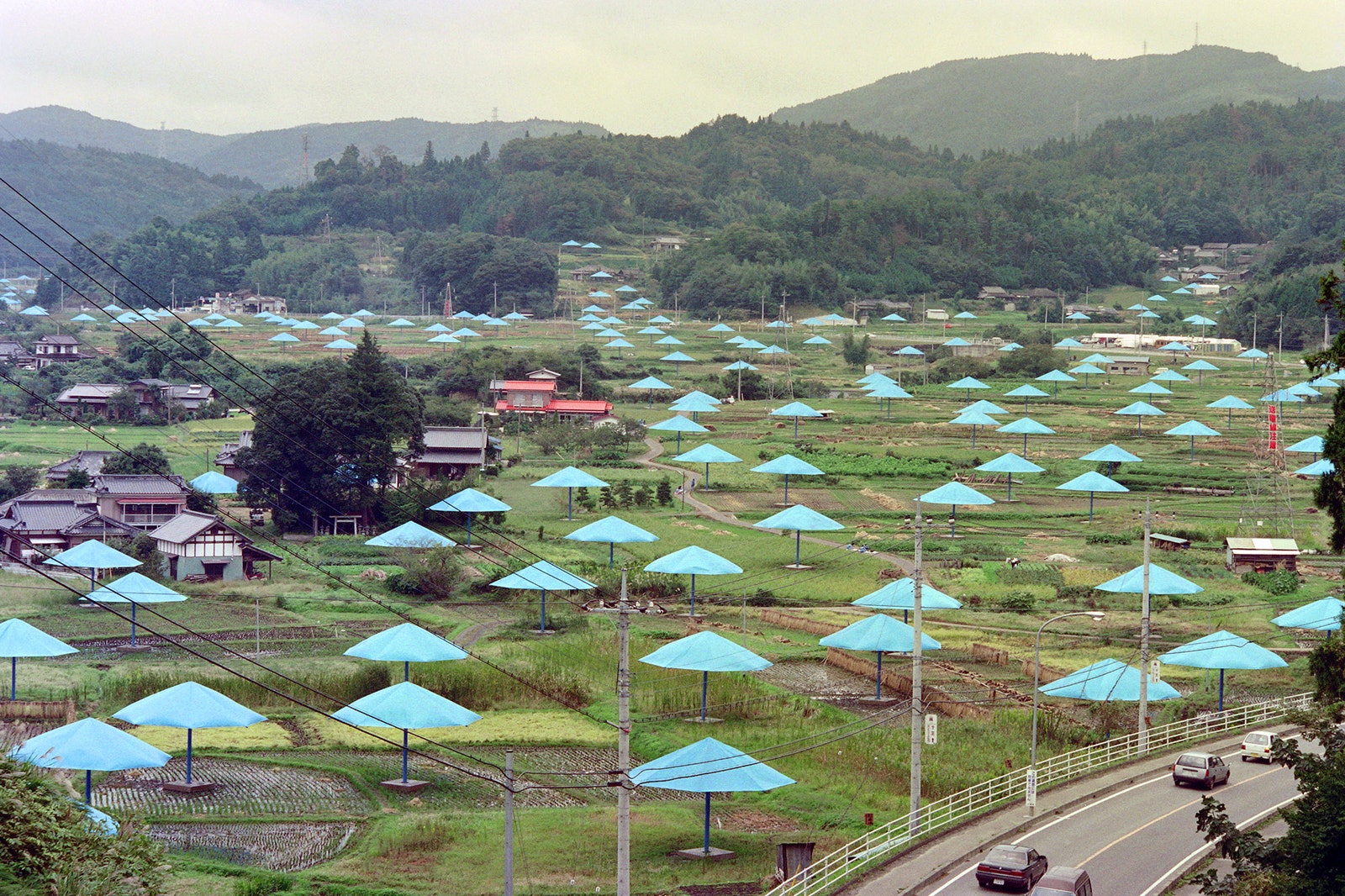 1991 год. Гигантские зонтики стоят на рисовых полях деревни Джимба в ХитачиОта 120 км к северу от Токио.