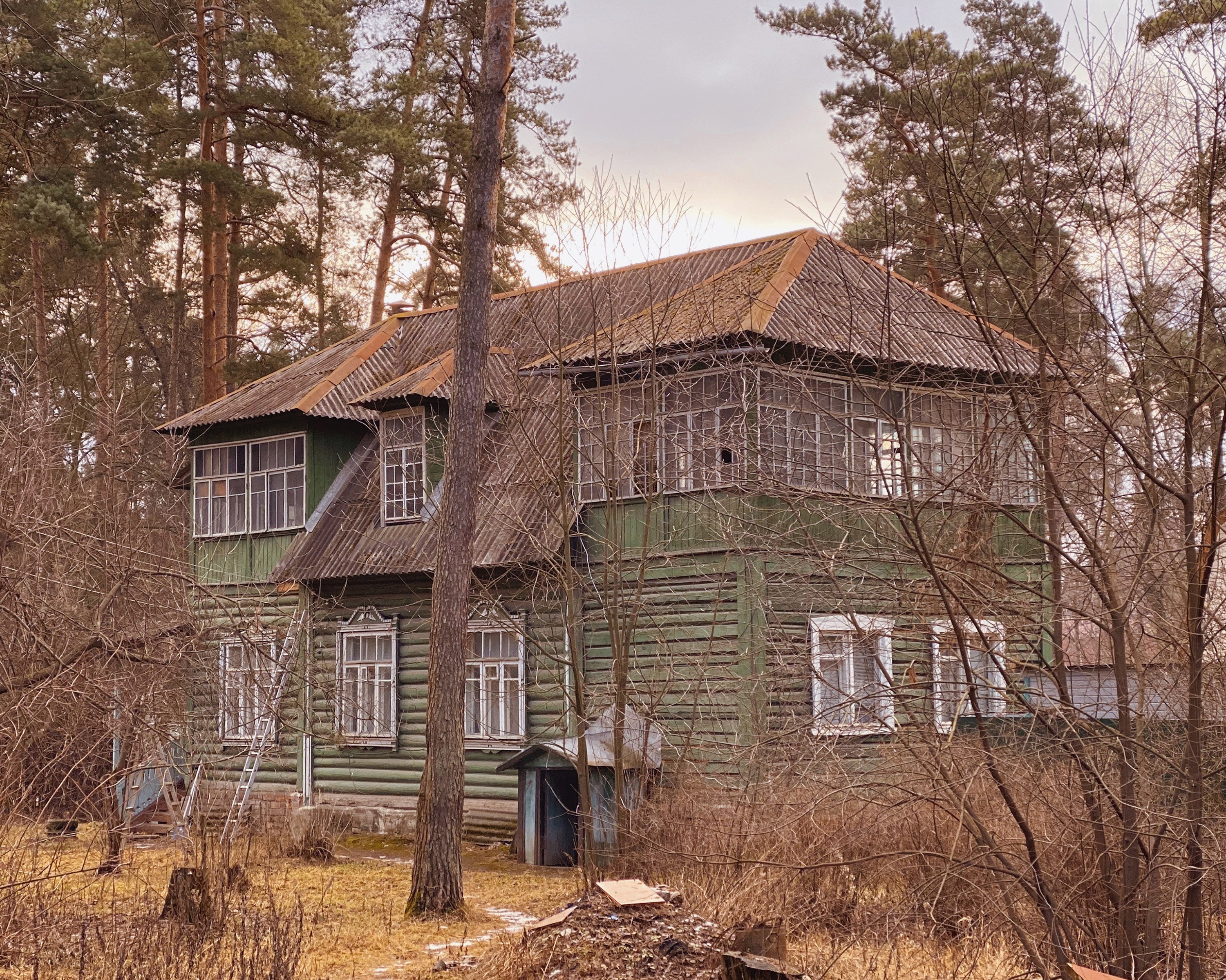 Федор Савинцев Кратовские дачи