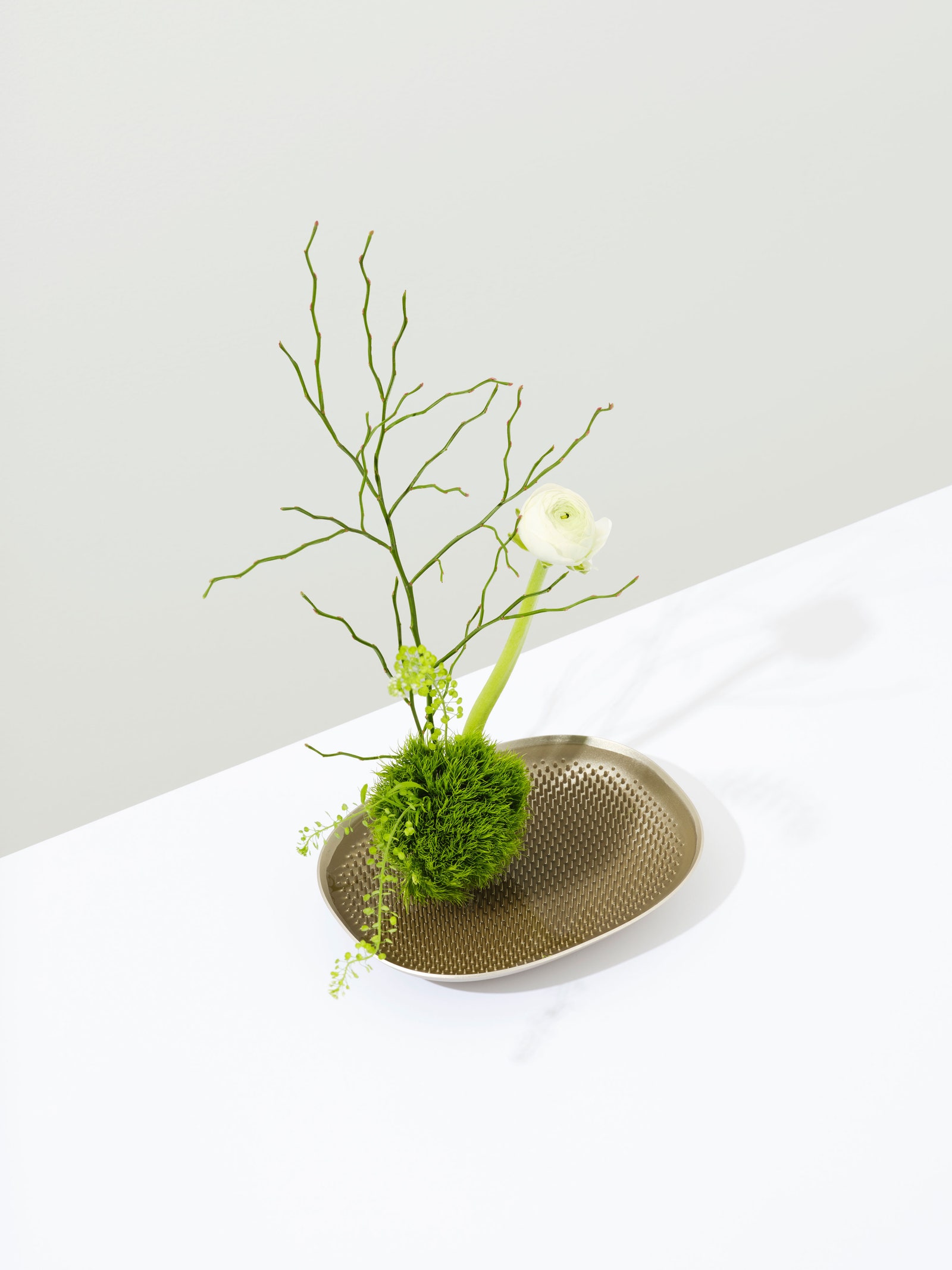 Jamie Wolfond. Frog Vase 2019. 13 x 18 x 3 см.