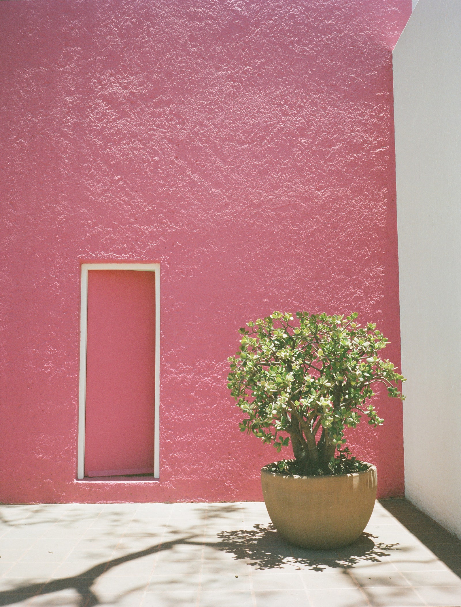 Дом Жиларди в Мехико. Фото Spencer Wells.