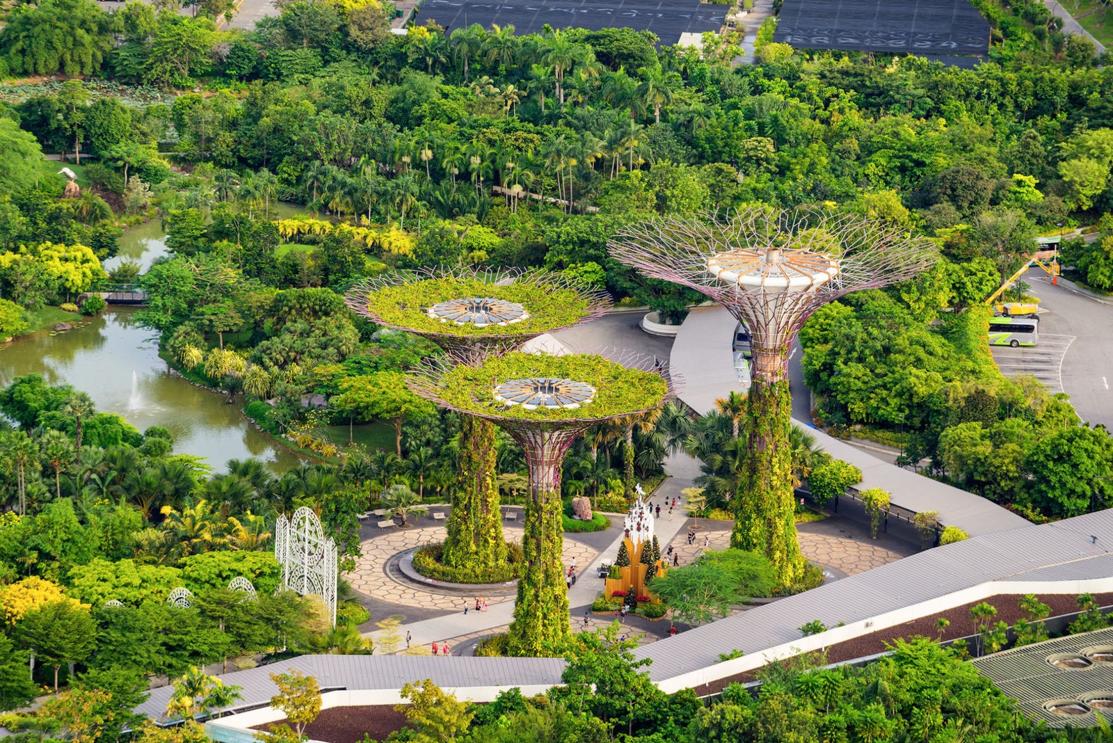 Gardens by the Bay в Сингапуре.