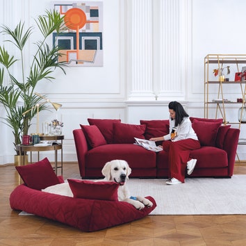 Как подобрать идеальный диван для интерьеров в разных стилях: пять универсальных советов и удачные примеры