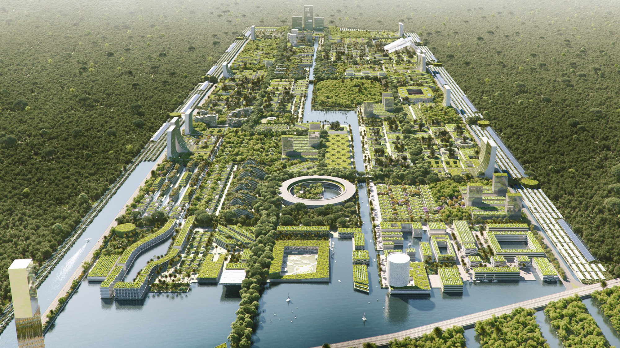 Smart Forest City проект “умного города” в Мексике