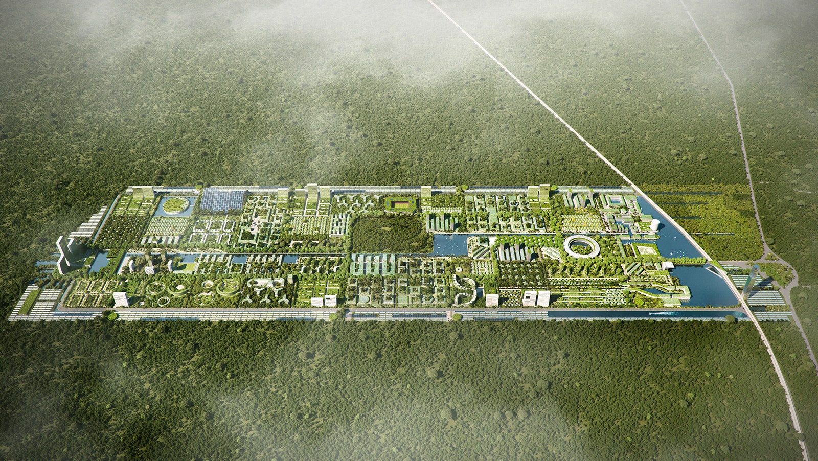 Smart Forest City проект “умного города” в Мексике