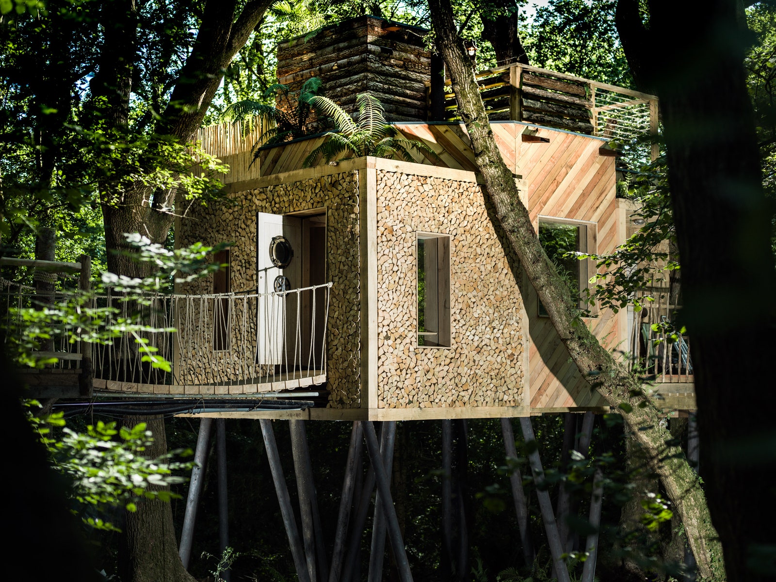 Уединенный домик на дереве в Англии дизайн интерьера фото