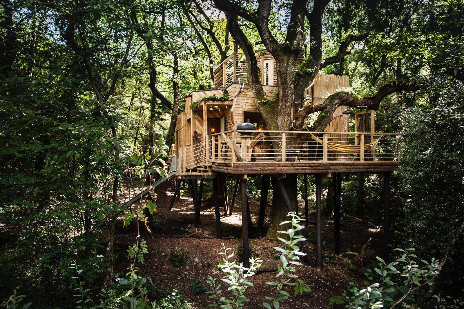 Уединенный домик на дереве в Англии дизайн интерьера фото