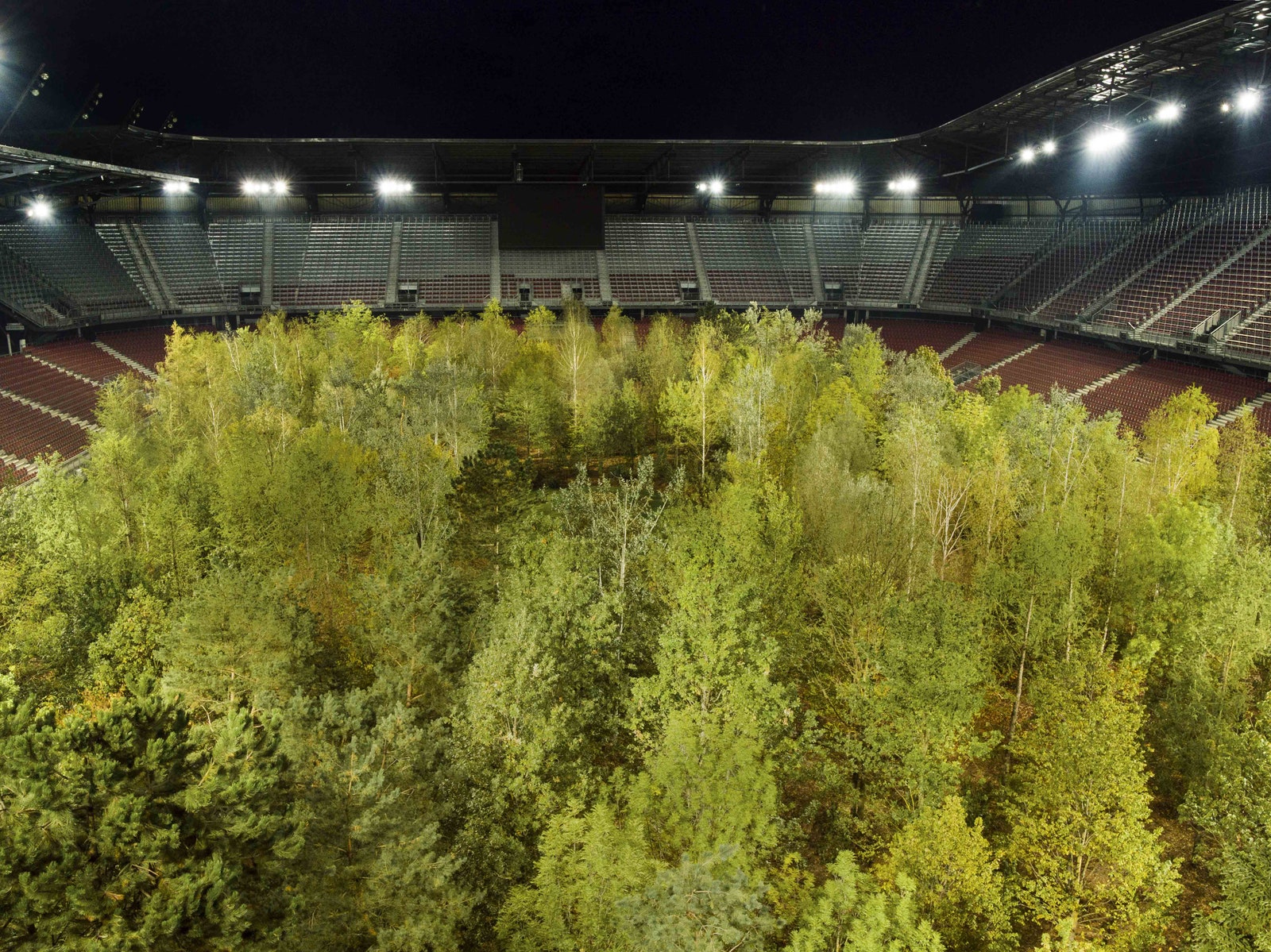 Клаус Литтманн вырастил лес на австрийском футбольном стадионе