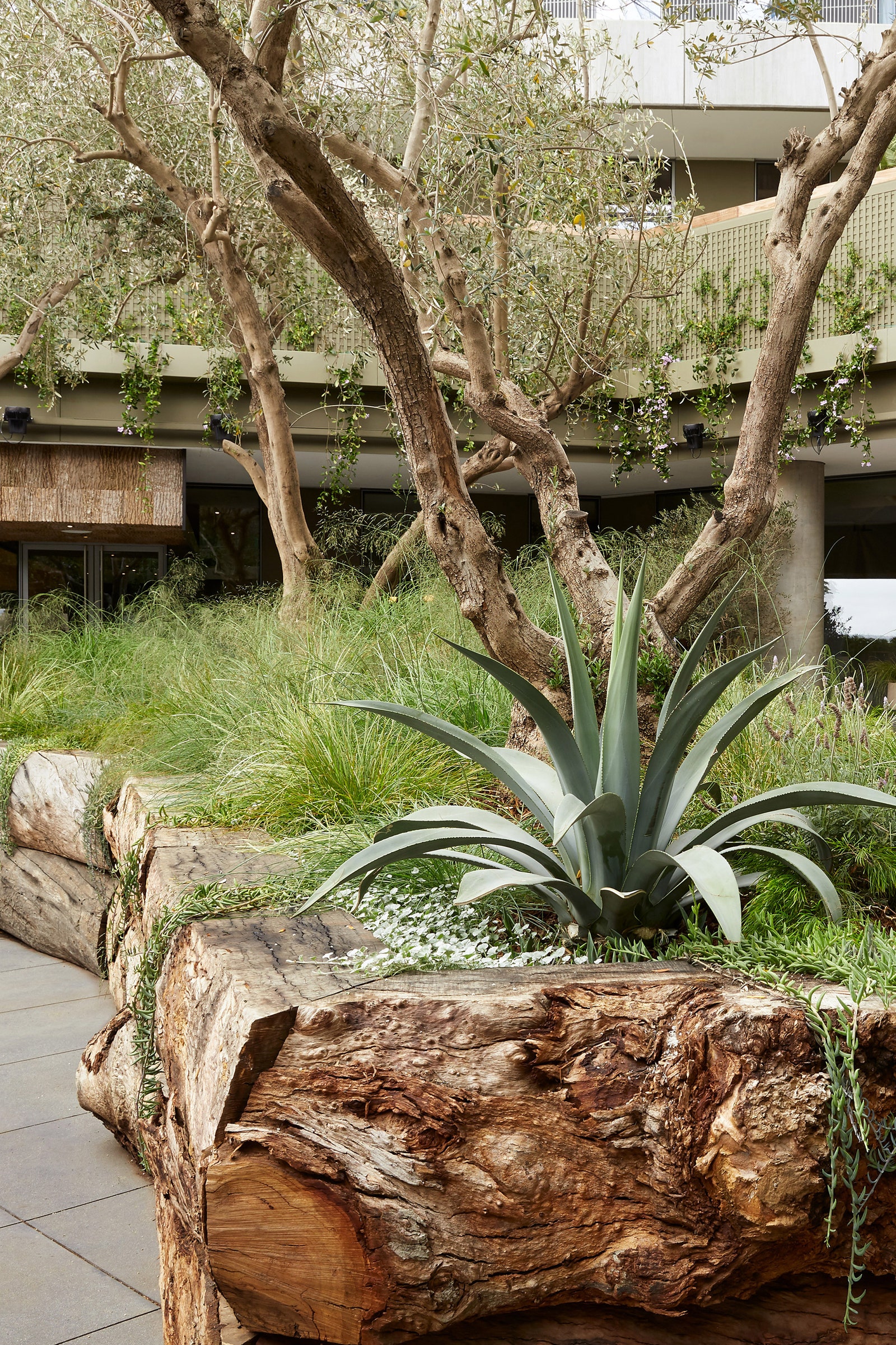 Джунгли и ГрандКаньон отель с садом в ЛосАнджелесе