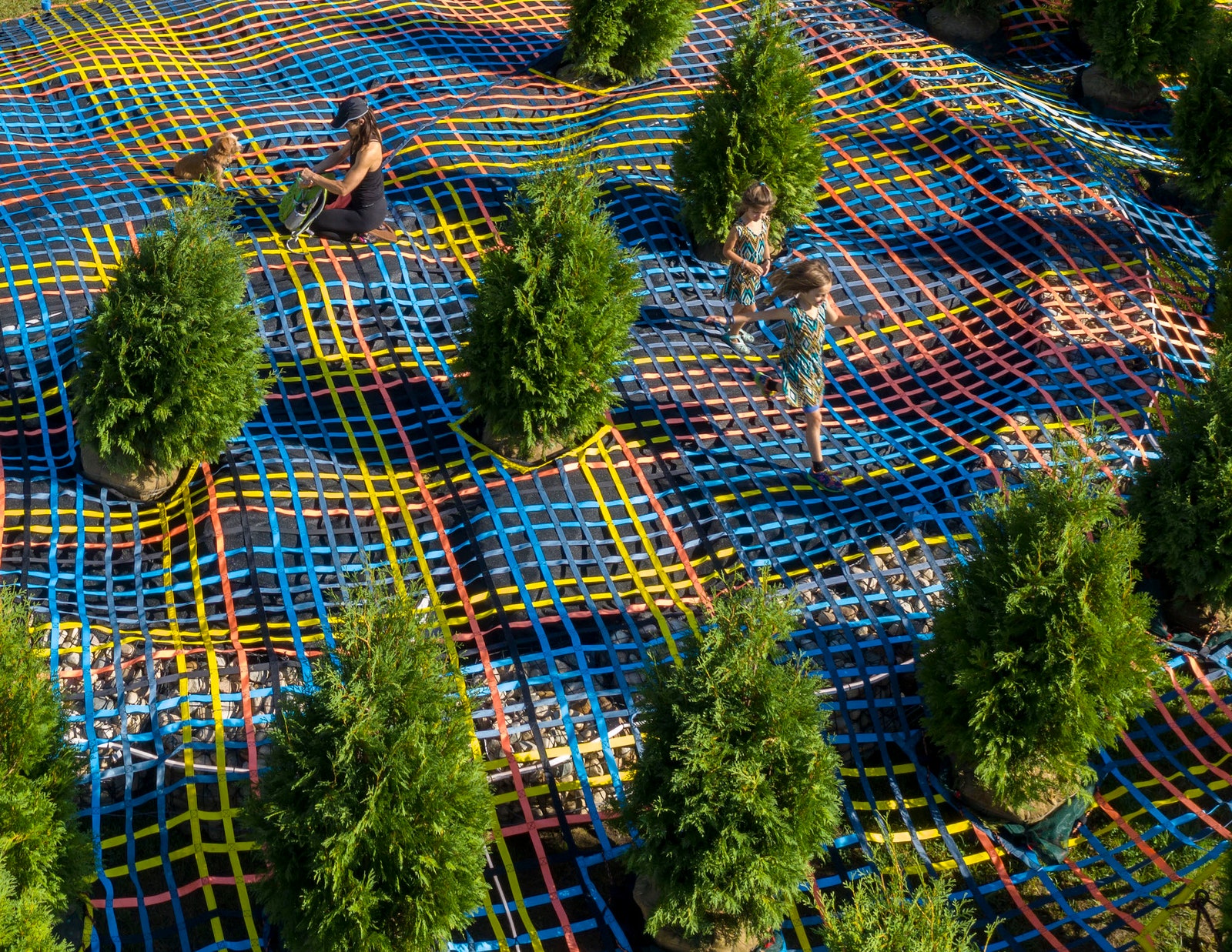“Живая изгородь” временная инсталляция в Колумбусе