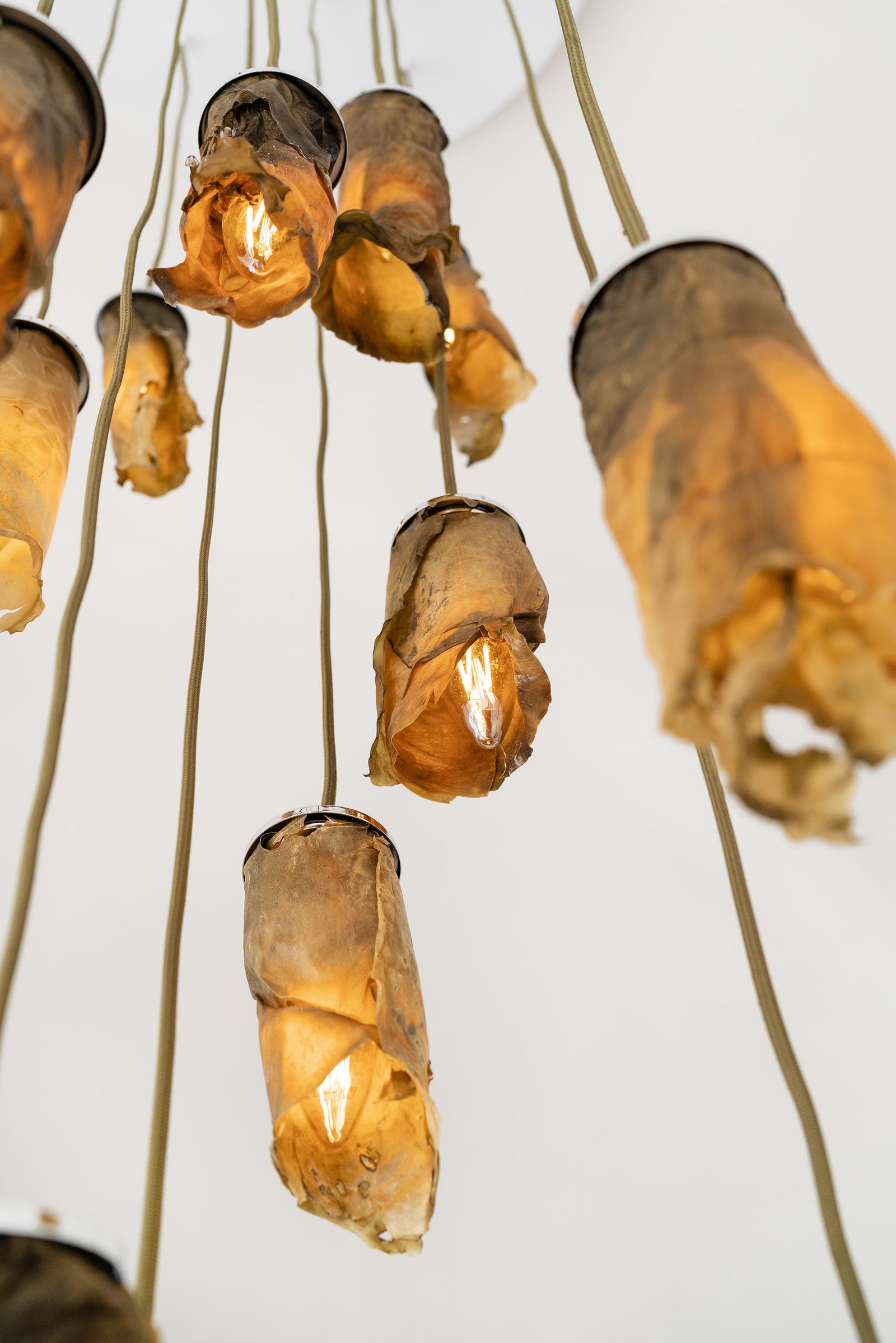 Светильники из сушеных водорослей от основательницы дизайнбюро Nea Studio