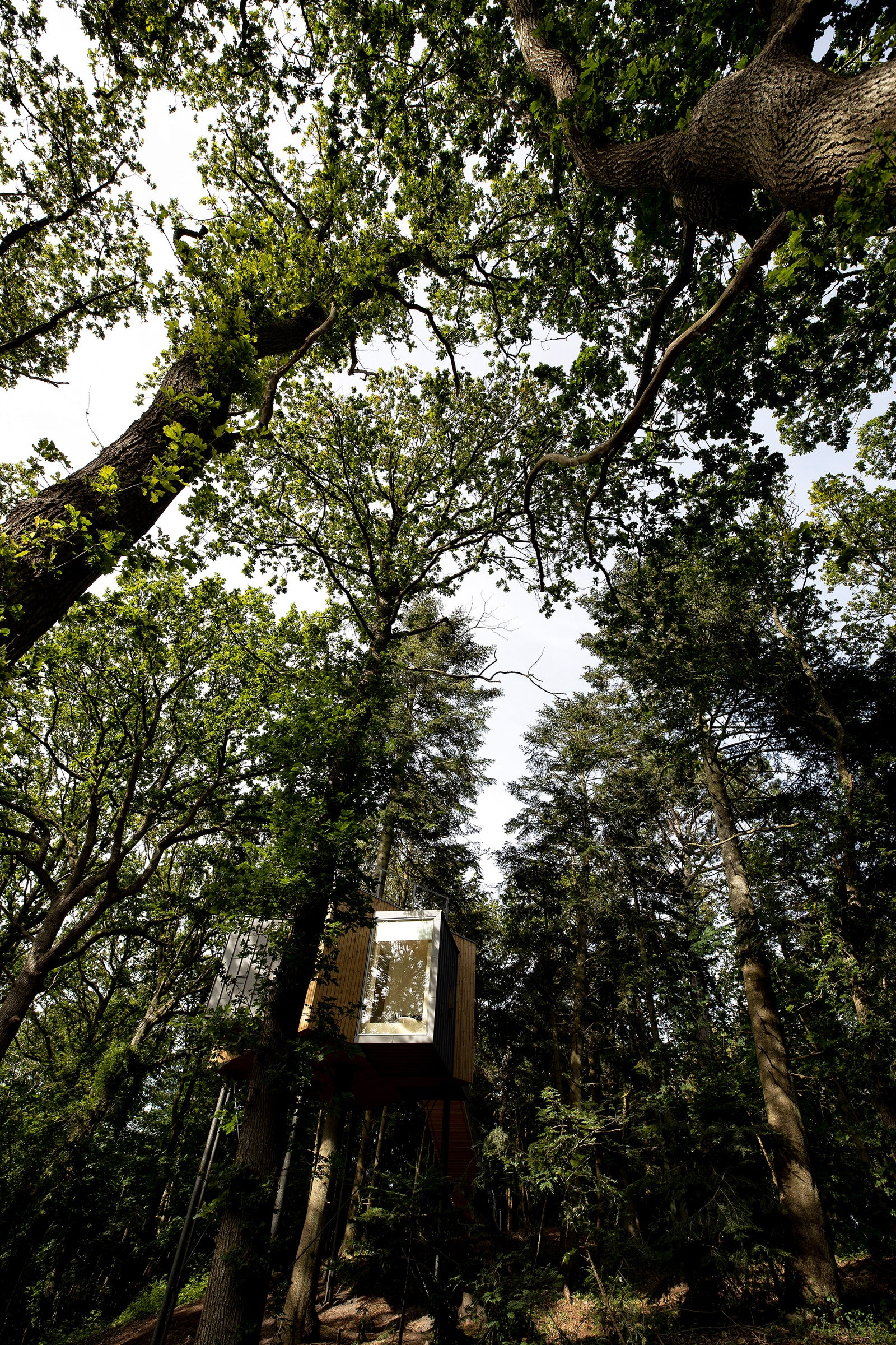 Домик на дереве по проекту Сигурда Ларсена фото