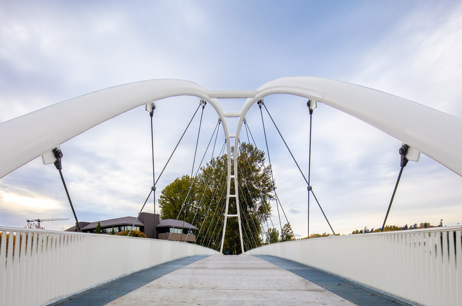 В штате Вашингтон появились два новых моста по проекту LMN Architects