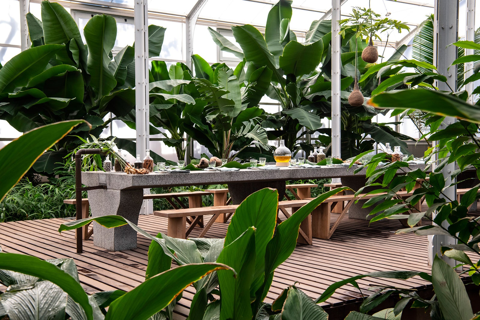Обеденный зал в тропической оранжерее