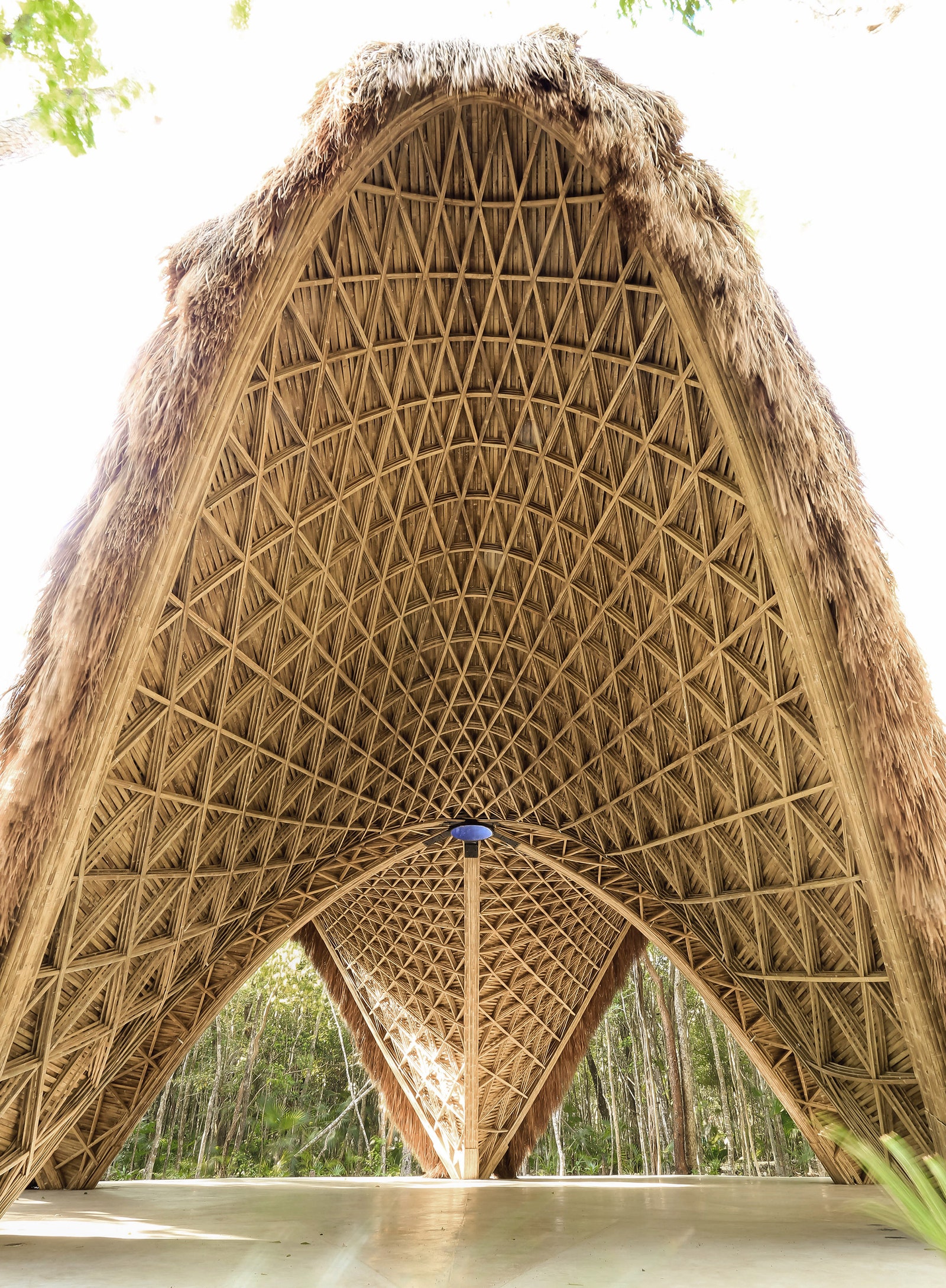 Бамбуковый павильон в джунглях Мексики