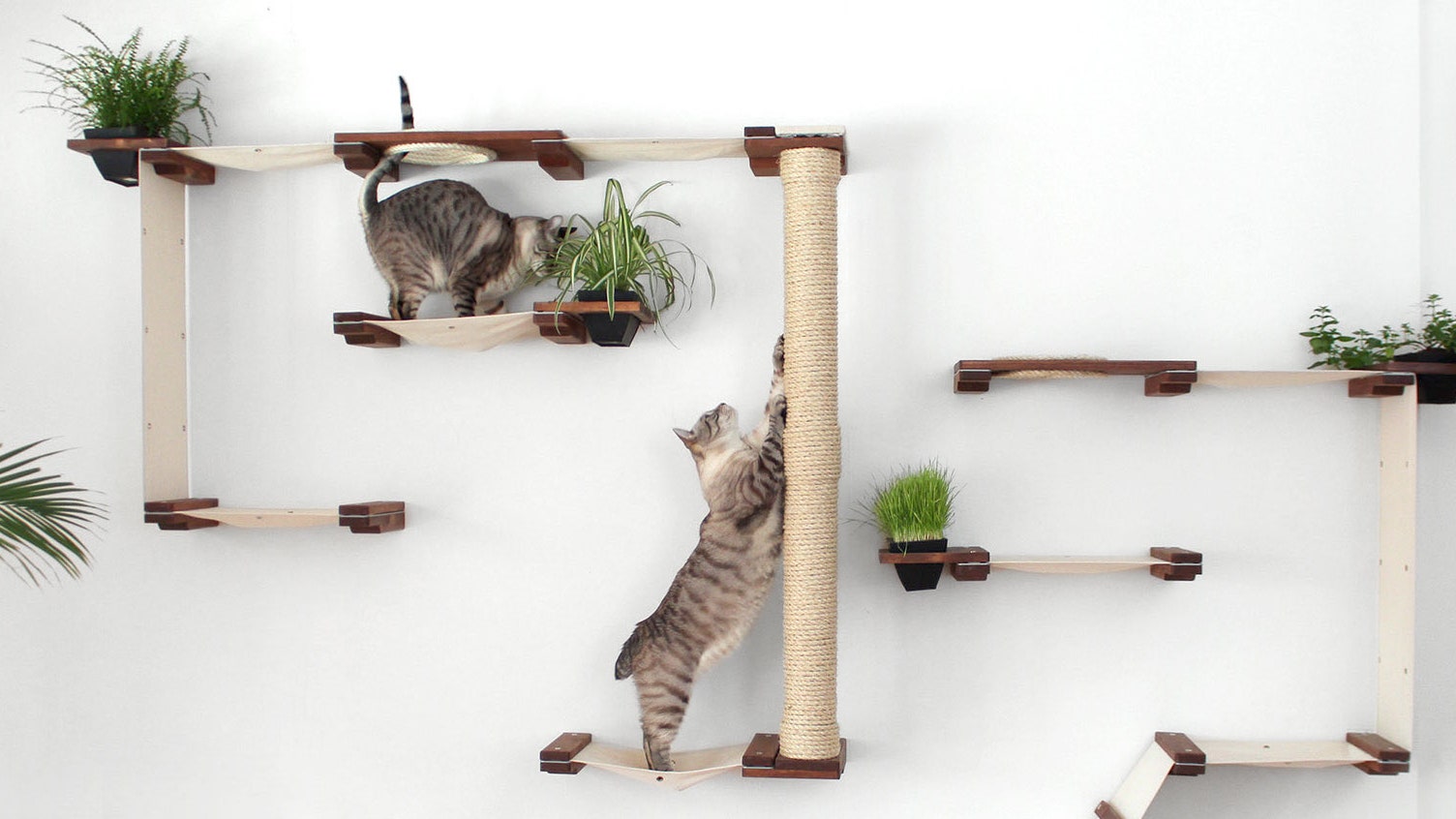 Модульная мебель для кошек