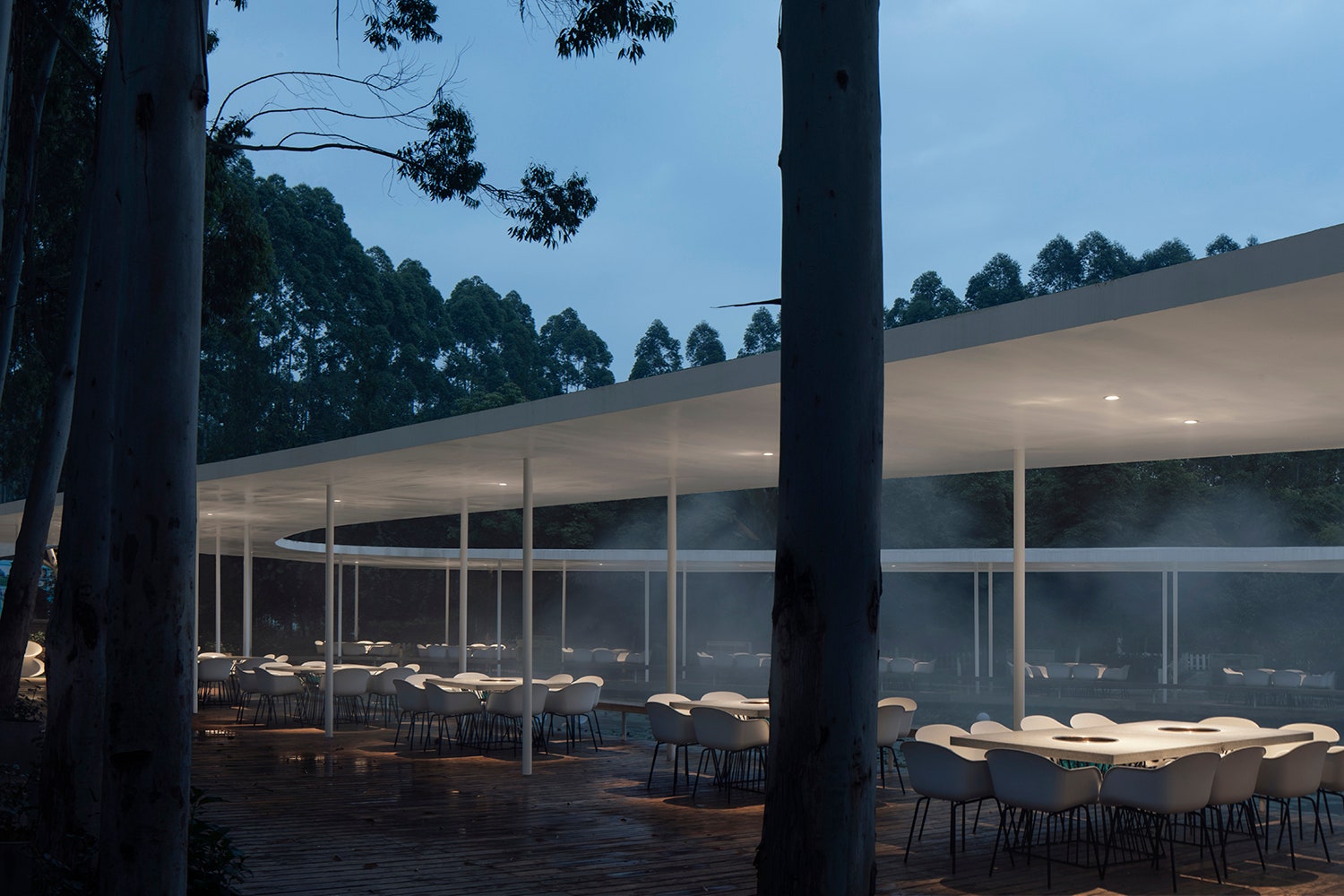 Дизайн ресторанаоазиса в эвкалиптовом лесу в Чэнду