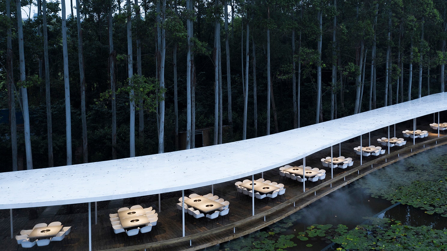 Дизайн ресторанаоазиса в эвкалиптовом лесу в Чэнду