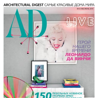 Анастасия Ромашкевич: 5 причин прочитать июньский номер AD