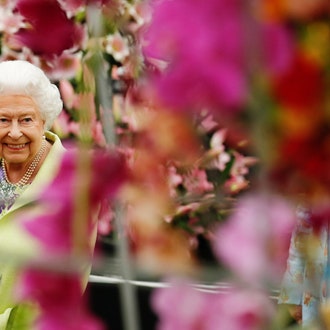 Сила цветов: сад от Кейт Миддлтон, Тома Диксона и Facebook на Chelsea Flower Show 2019
