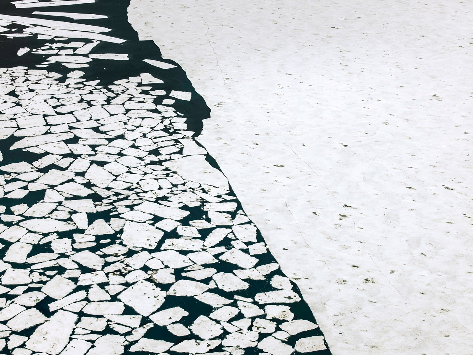 Диана Тафт. Таяние Арктики Гренландское море Северные Ледовитый океан время — 1648 79° северной широты. Из проекта...
