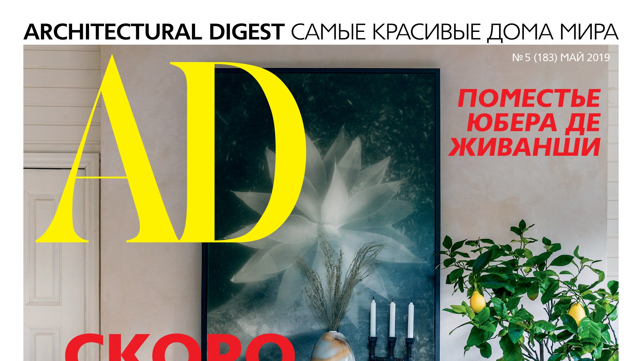 Анастасия Ромашкевич: 5 причин прочитать майский номер AD | AD Magazine