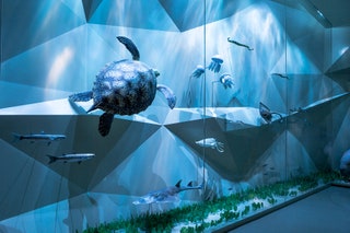 Designed by Ateliers Jean Nouvel Marine Biota in Qatars Natural Environments gallery. Photo Danica Kus