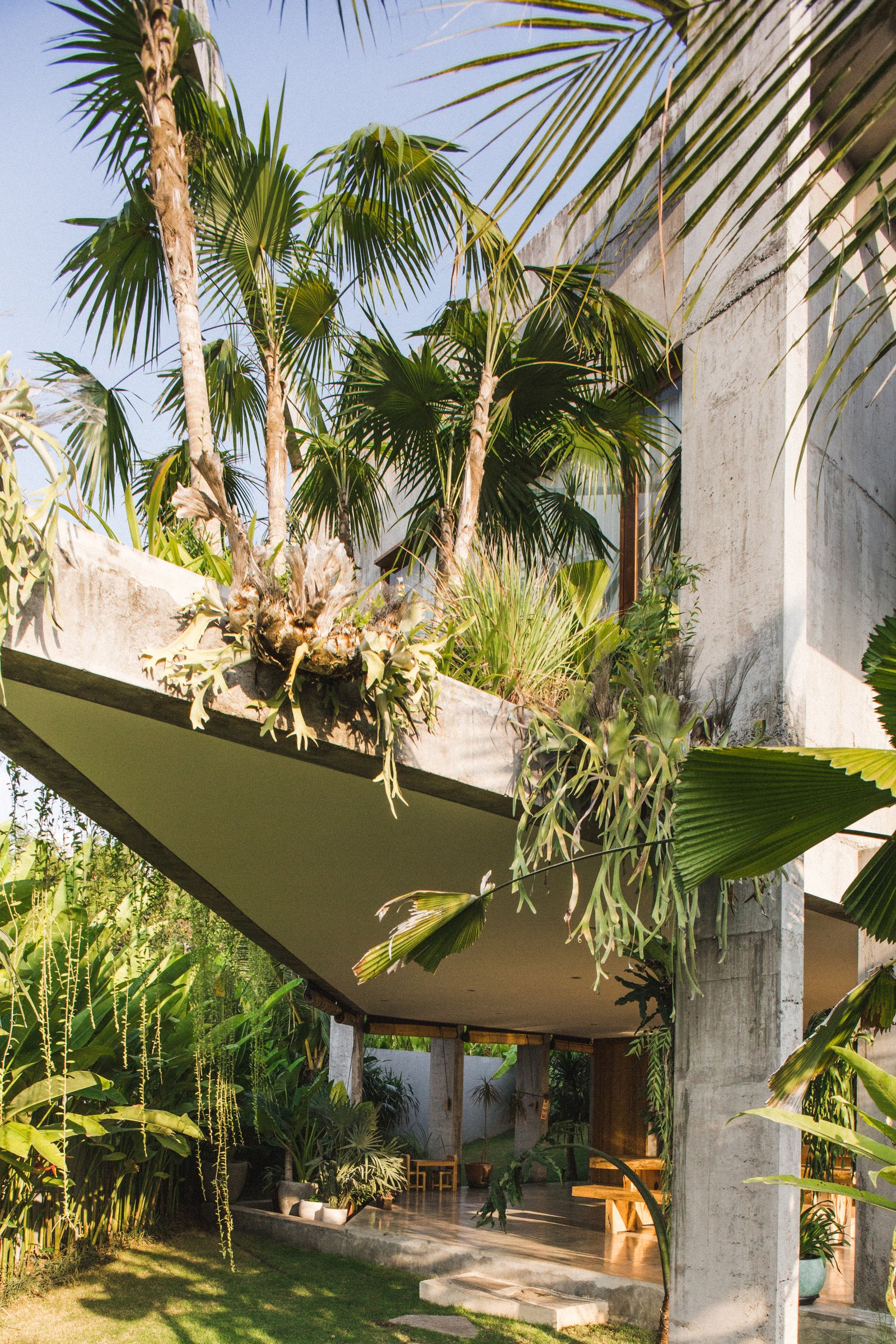 Архитектурный проект бруталистского дома на Бали