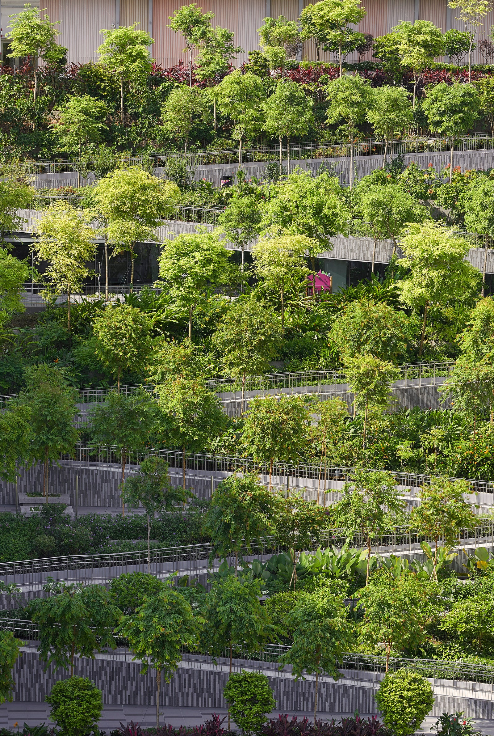 Общественный центр с зелеными террасами в Сингапуре