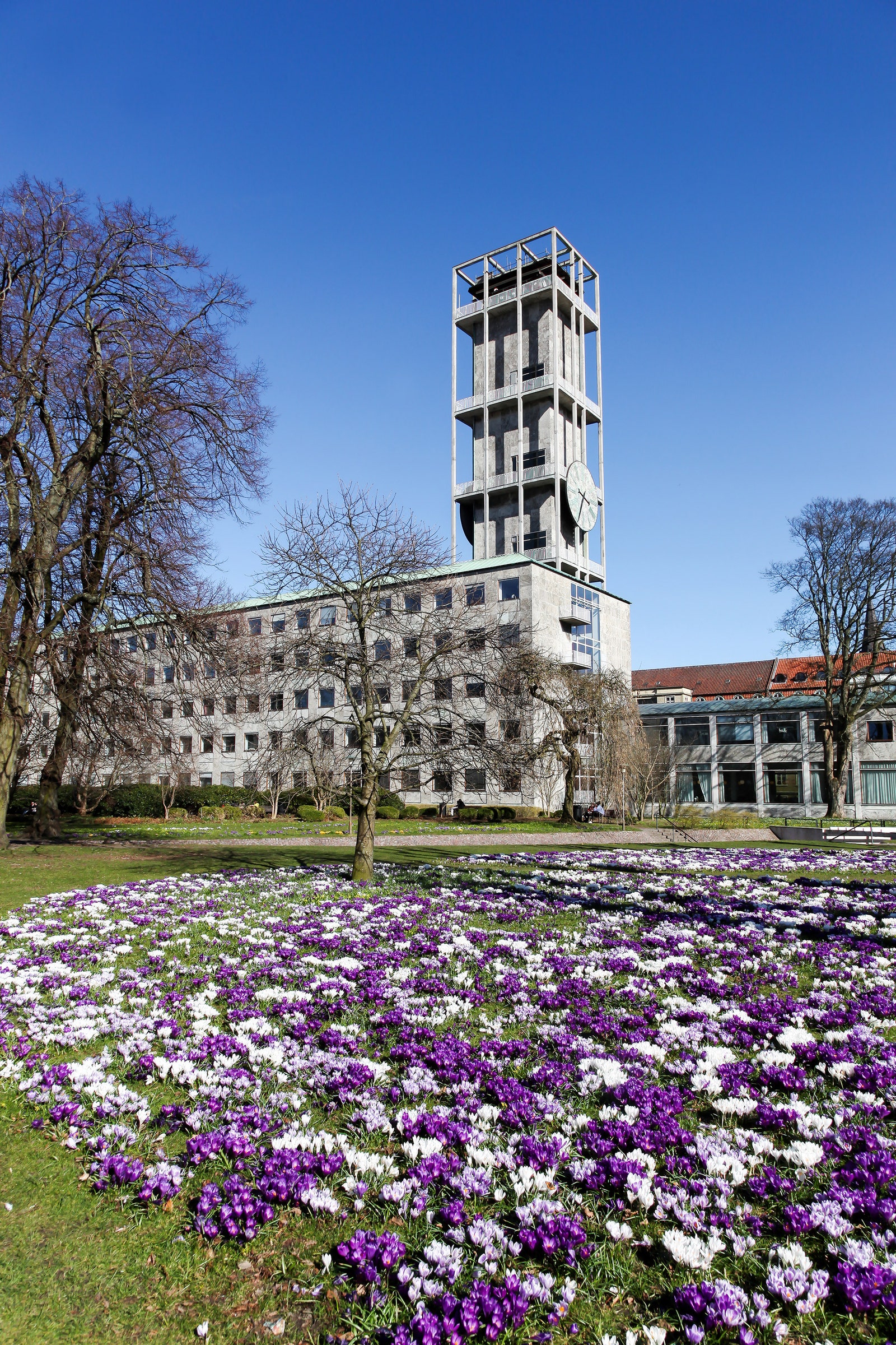 Здание муниципалитета в Орхусе по проекту Арне Якобсена.